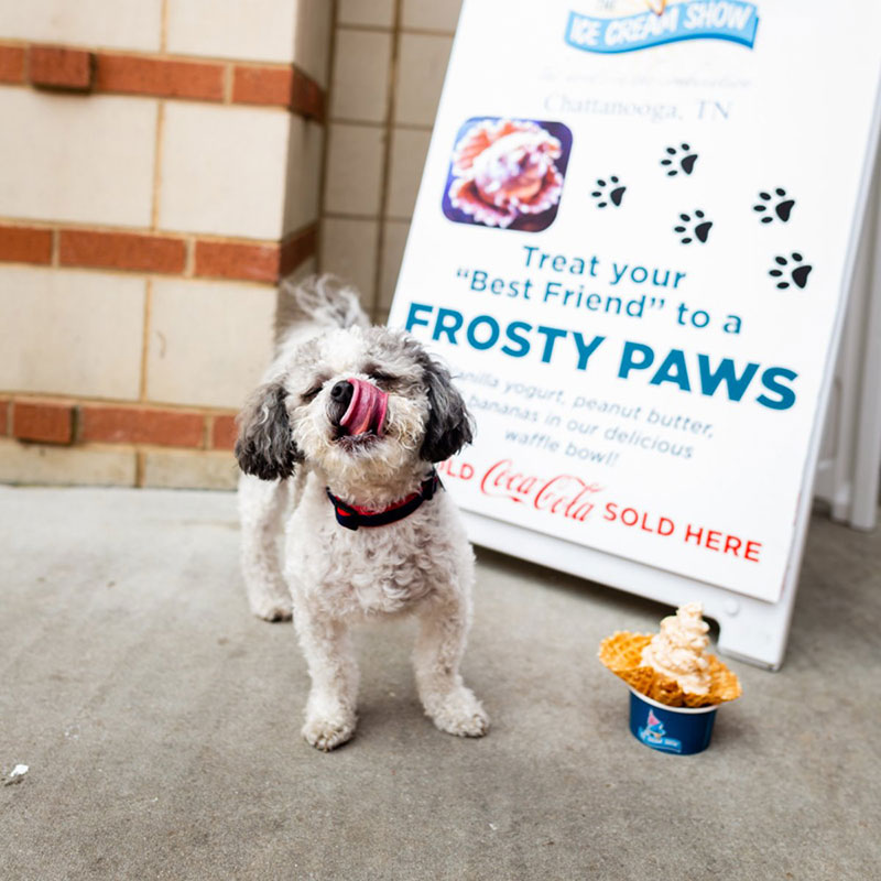 Frosty Paws Puppy Ice Cream The Ice Cream Show Chattanooga, TN 800